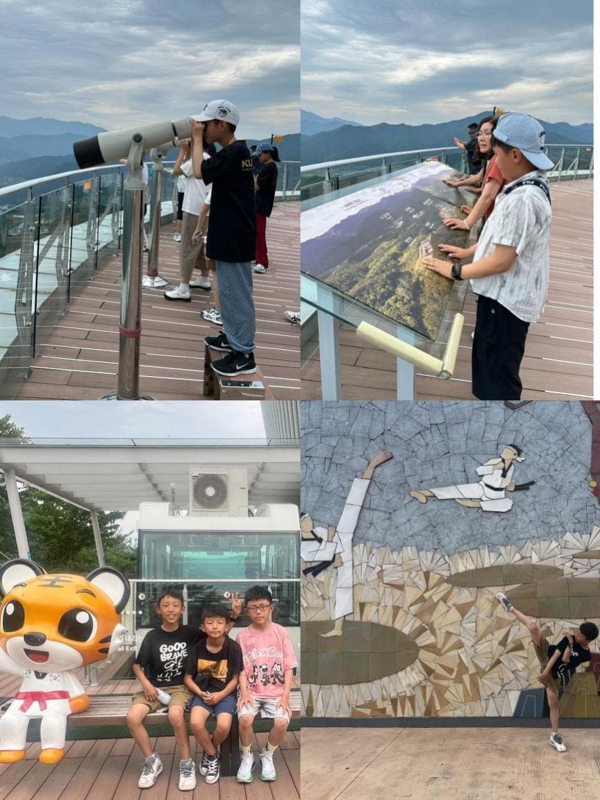 韩国武道研学营现场图 11